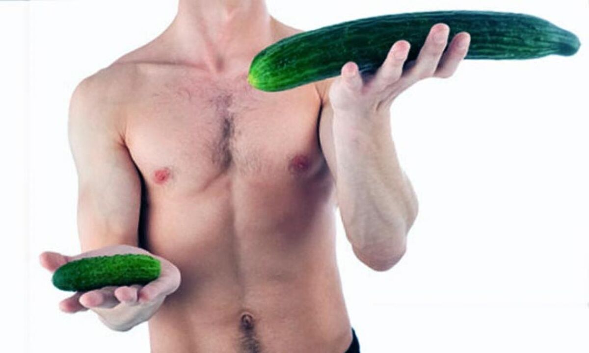 large and small cock size on the example of cucumbers